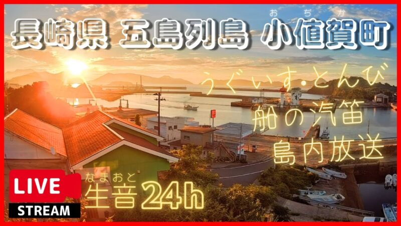 御縁から小値賀港周辺のライブカメラ|長崎県小値賀町のサムネイル