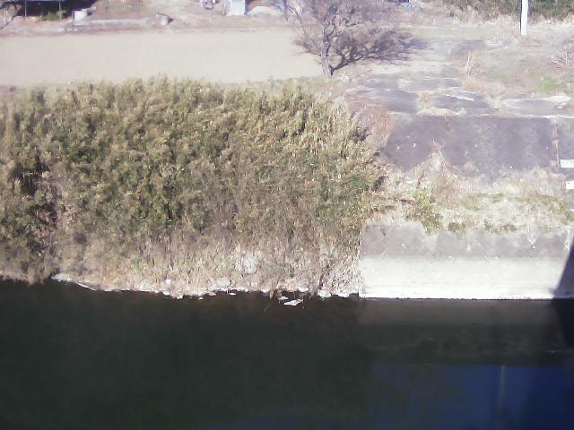 阿武隈川 成竜橋付近 L110.6kのライブカメラ|福島県鏡石町のサムネイル