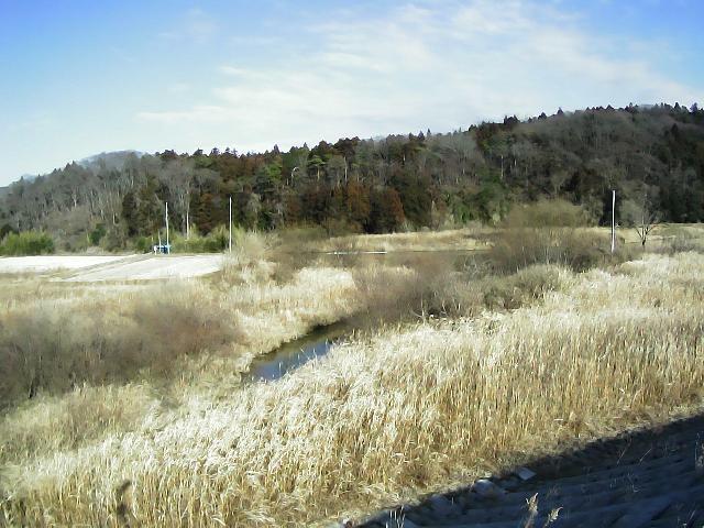 阿武隈川 河原 L110.15kのライブカメラ|福島県鏡石町のサムネイル