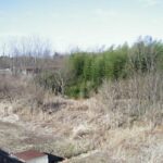 阿武隈川 日和田町梅沢仲平 L76.8kのライブカメラ|福島県郡山市のサムネイル