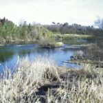 阿武隈川 滑川東町 L94.6k+120のライブカメラ|福島県須賀川市のサムネイル