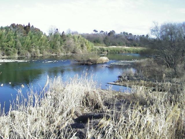 阿武隈川 滑川東町 L94.6k+120のライブカメラ|福島県須賀川市のサムネイル
