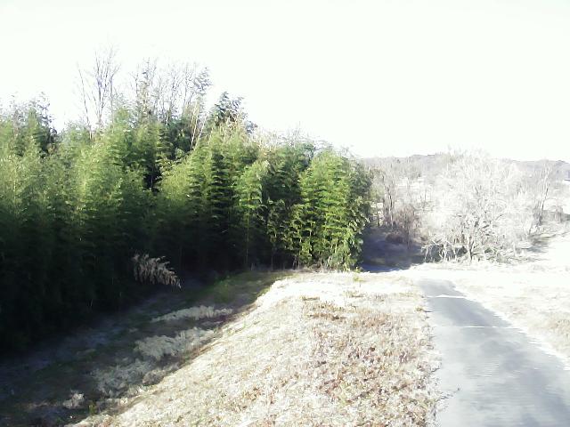 阿武隈川 下小山田沖 R102.6kのライブカメラ|福島県須賀川市のサムネイル