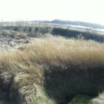 阿武隈川 竜崎舘ケ崎 R110.7kのライブカメラ|福島県玉川村のサムネイル