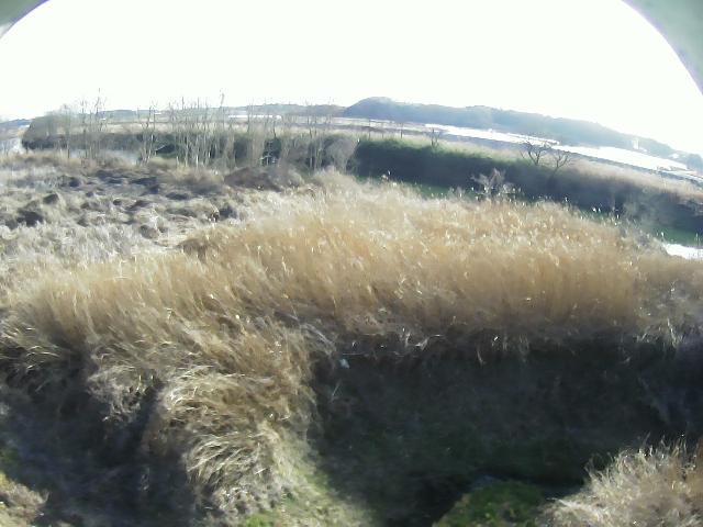 阿武隈川 竜崎舘ケ崎 R110.7kのライブカメラ|福島県玉川村のサムネイル