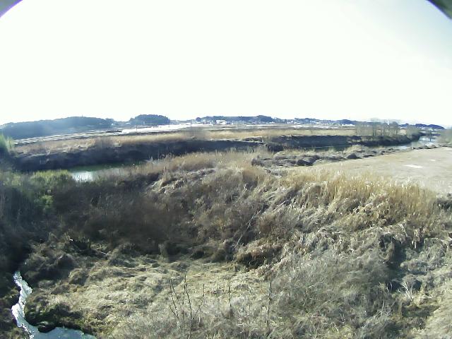 阿武隈川 竜崎小川原 R111.18kのライブカメラ|福島県玉川村のサムネイル