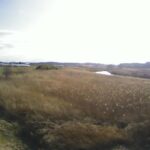 阿武隈川 竜崎古川 R111.4kのライブカメラ|福島県玉川村のサムネイル