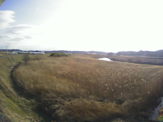 阿武隈川 竜崎古川 R111.4kのライブカメラ|福島県玉川村のサムネイル