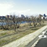 阿武隈川 渡利丸滝 R28.0kのライブカメラ|福島県福島市のサムネイル