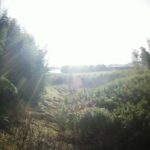 阿武隈川 舟生上台 R4.4k+180のライブカメラ|福島県伊達市のサムネイル