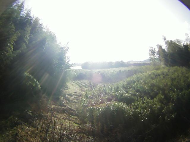 阿武隈川 舟生上台 R4.4k+180のライブカメラ|福島県伊達市のサムネイル