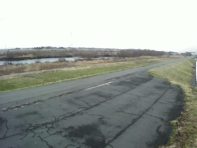 赤川 横山 13.6k右岸のライブカメラ|山形県三川町のサムネイル