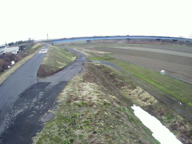 赤川 猪子 5.8k左岸のライブカメラ|山形県三川町のサムネイル