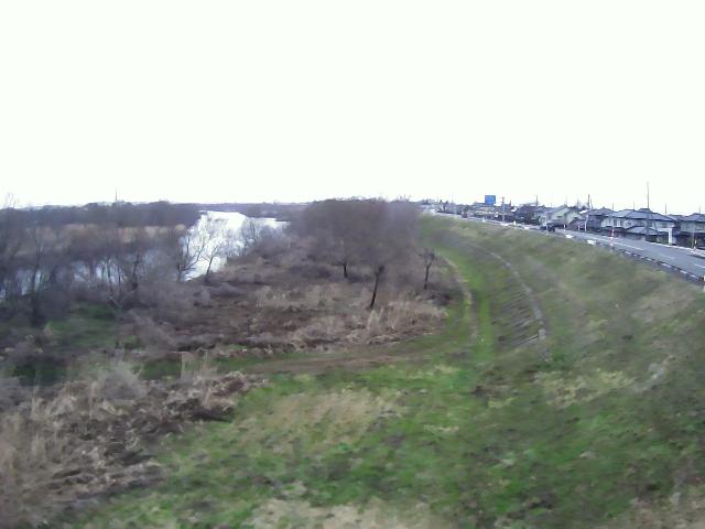 赤川 対馬 8.0k右岸のライブカメラ|山形県三川町のサムネイル