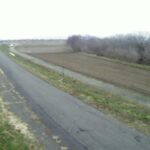 赤川 神花 8.6k左岸のライブカメラ|山形県三川町のサムネイル