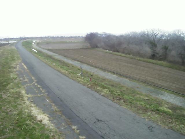 赤川 神花 8.6k左岸のライブカメラ|山形県三川町のサムネイル