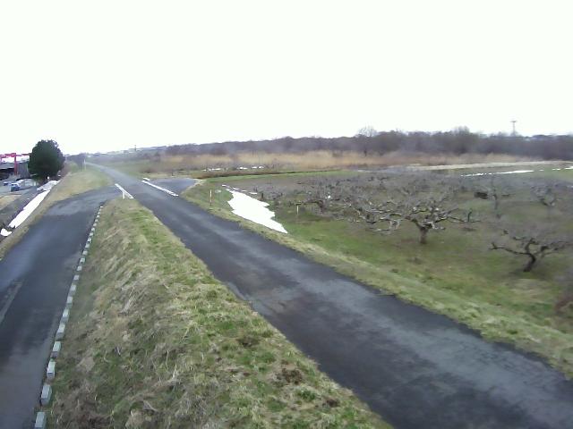 赤川 青山仲島 9.4k左岸のライブカメラ|山形県三川町のサムネイル