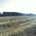 荒川 庄野下川原 L7.0k+150のライブカメラ|福島県福島市のサムネイル