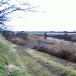 江合川 12.2k左岸のライブカメラ|宮城県涌谷町のサムネイル