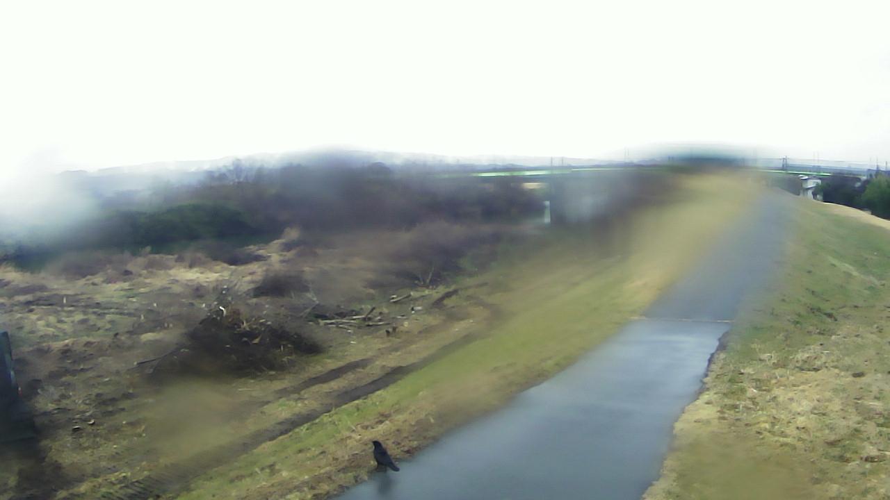 江合川 18.4k右岸のライブカメラ|宮城県美里町のサムネイル