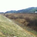 江合川 2.8k右岸のライブカメラ|宮城県石巻市のサムネイル