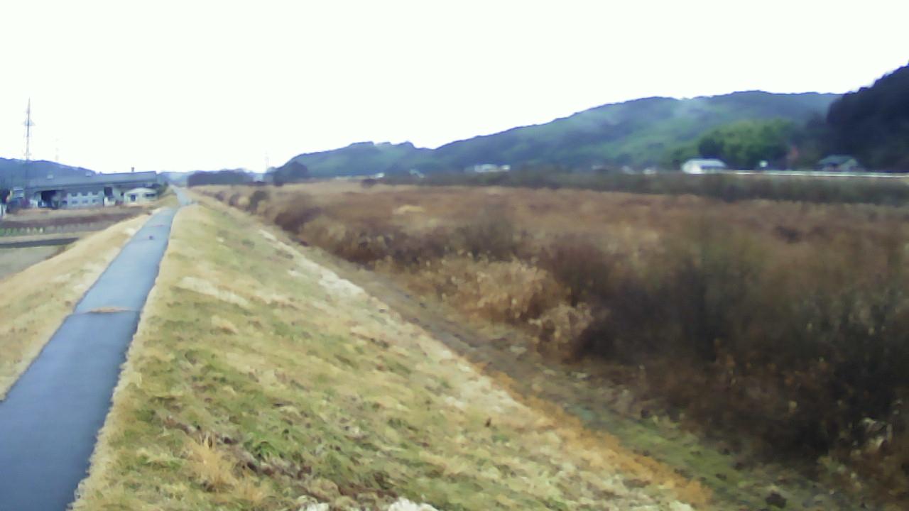 江合川 2.8k右岸のライブカメラ|宮城県石巻市のサムネイル