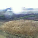 二股川 0.2k左岸のライブカメラ|宮城県登米市のサムネイル