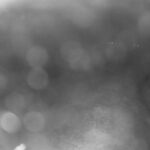 金山川 平岡 0.6k左岸のライブカメラ|山形県真室川町のサムネイル