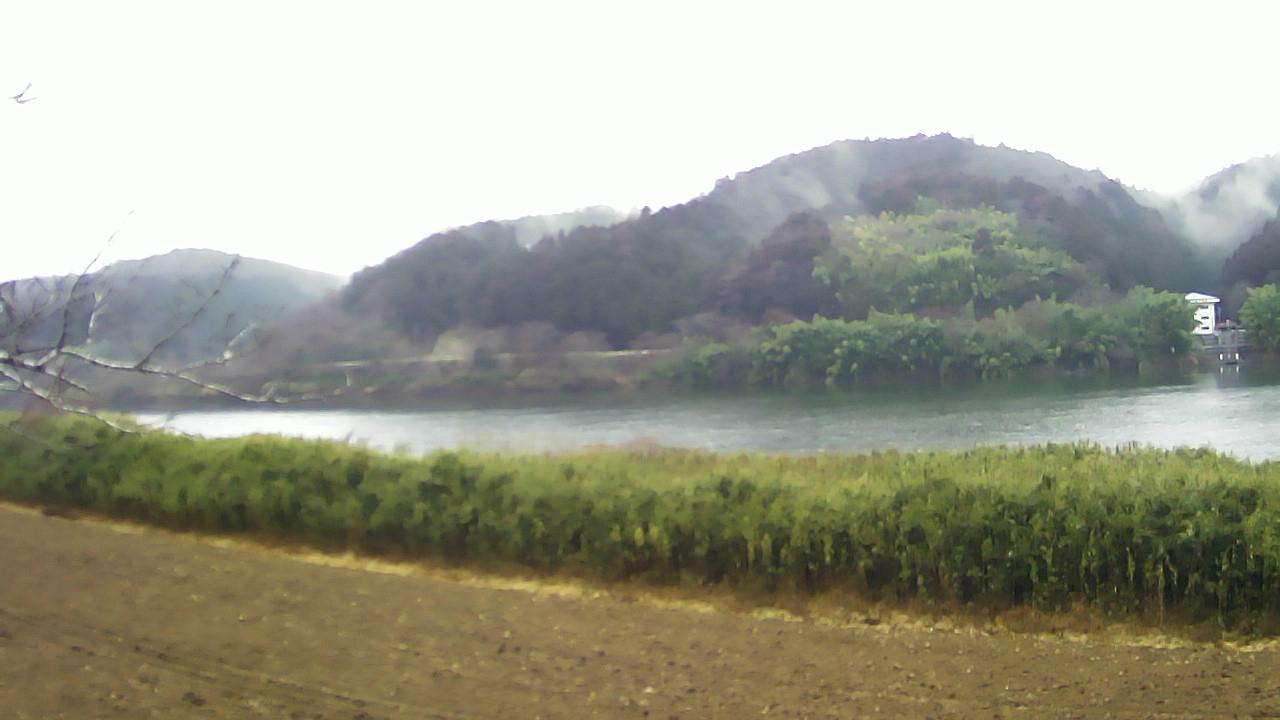 北上川 下流 30.6k左岸のライブカメラ|宮城県登米市のサムネイル