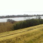 旧北上川 23.6k右岸のライブカメラ|宮城県涌谷町のサムネイル