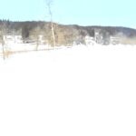 真室川 第二排水樋管 2.0k左岸のライブカメラ|山形県真室川町のサムネイル