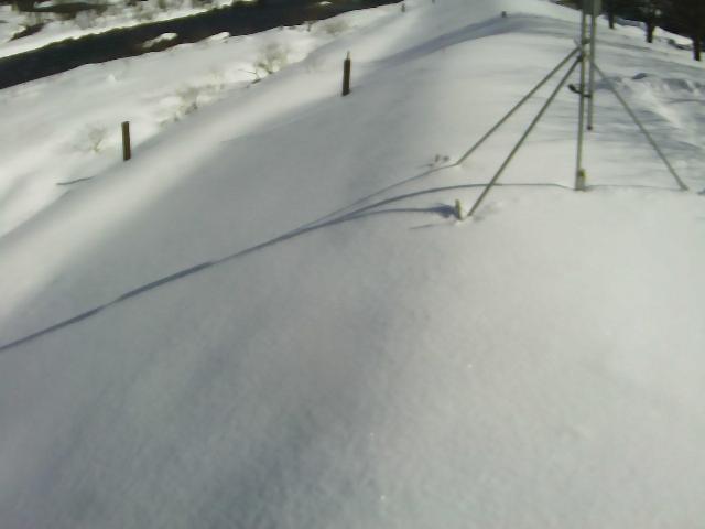 真室川 3.0k左岸のライブカメラ|山形県真室川町のサムネイル