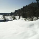 真室川 高沢 4.0k右岸のライブカメラ|山形県真室川町のサムネイル