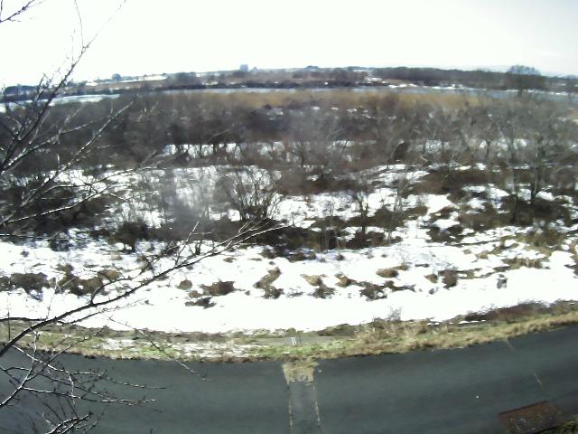 最上川 飛鳥中島 11.8k右岸のライブカメラ|山形県酒田市のサムネイル