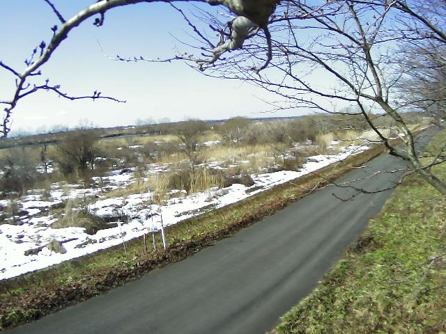 最上川 飛鳥神内 12.2k右岸のライブカメラ|山形県酒田市のサムネイル