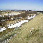 最上川 槇島 14.2k左岸のライブカメラ|山形県庄内町のサムネイル