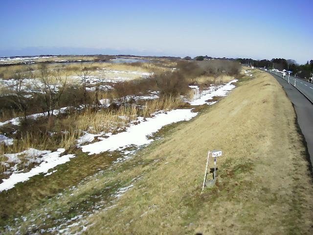 最上川 槇島 14.2k左岸のライブカメラ|山形県庄内町のサムネイル