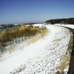 最上川 地見興屋 22.0k右岸のライブカメラ|山形県酒田市のサムネイル