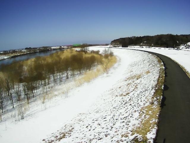 最上川 地見興屋 22.0k右岸のライブカメラ|山形県酒田市のサムネイル