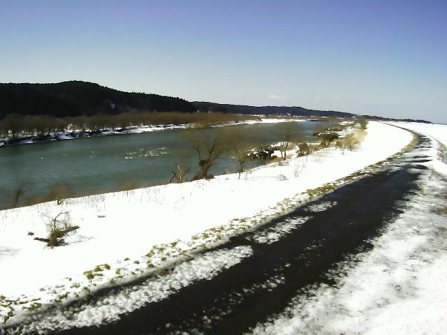 最上川 成興野 25.8k右岸のライブカメラ|山形県酒田市のサムネイル