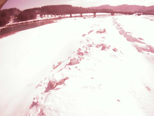 最上川 真柄 41.9k左岸のライブカメラ|山形県戸沢村のサムネイル