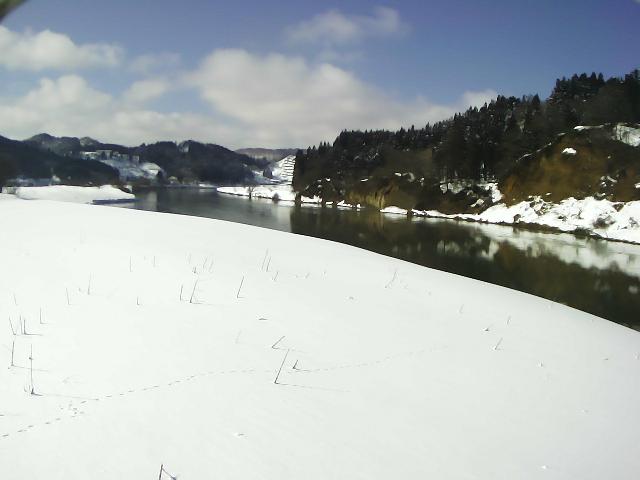 最上川 畑 47.7k左岸のライブカメラ|山形県新庄市のサムネイル