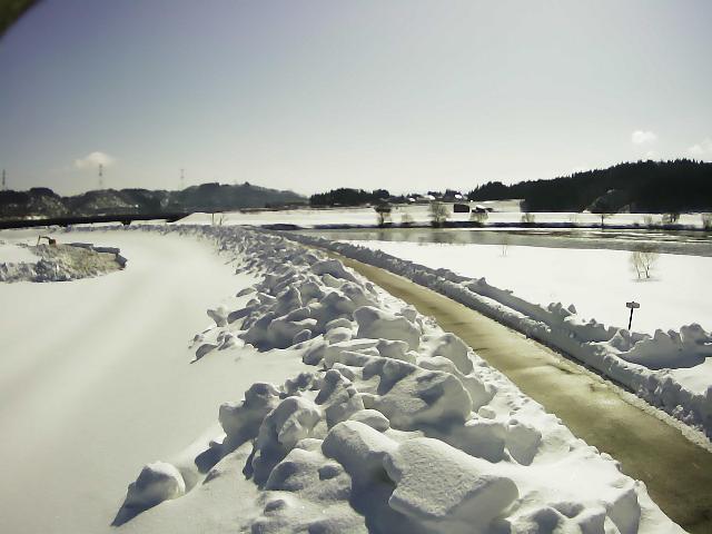 最上川 清水 55.3k右岸のライブカメラ|山形県大蔵村のサムネイル