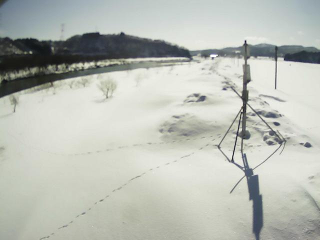 最上川 白須賀 56.5k左岸のライブカメラ|山形県大蔵村のサムネイル