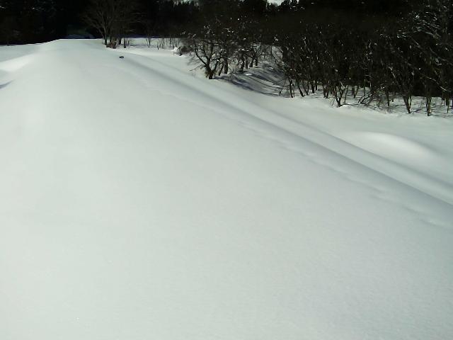 最上川 豊田 82.7k右岸のライブカメラ|山形県大石田町のサムネイル