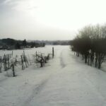 成瀬川 成瀬頭首工付近 3.0k左岸のライブカメラ|秋田県横手市のサムネイル