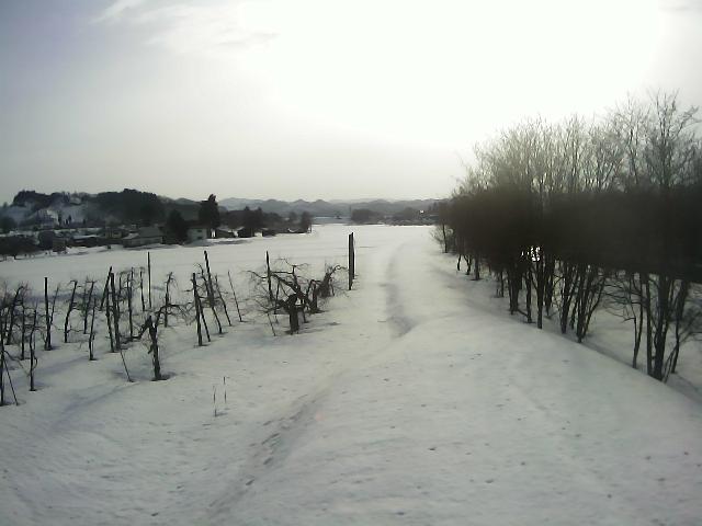 成瀬川 成瀬頭首工付近 3.0k左岸のライブカメラ|秋田県横手市のサムネイル