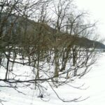 雄物川 山田頭首工付近 107.2k右岸のライブカメラ|秋田県湯沢市のサムネイル