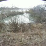 雄物川 1.2k右岸のライブカメラ|秋田県秋田市のサムネイル