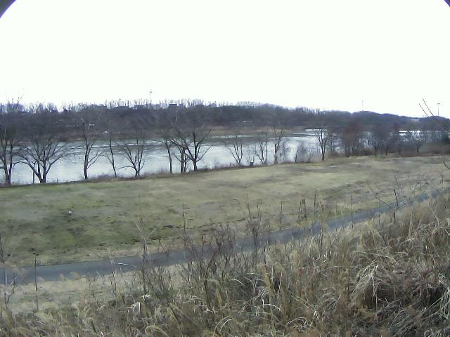 雄物川 1.4k右岸のライブカメラ|秋田県秋田市のサムネイル